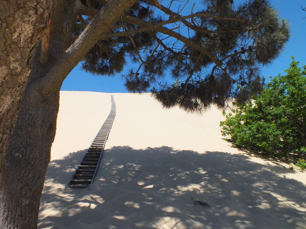 Camping De La Dune "Les Flots Bleus" Pyla-sur-Mer Zewnętrze zdjęcie